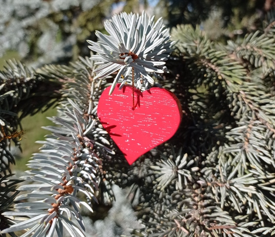 Coeur de Noël